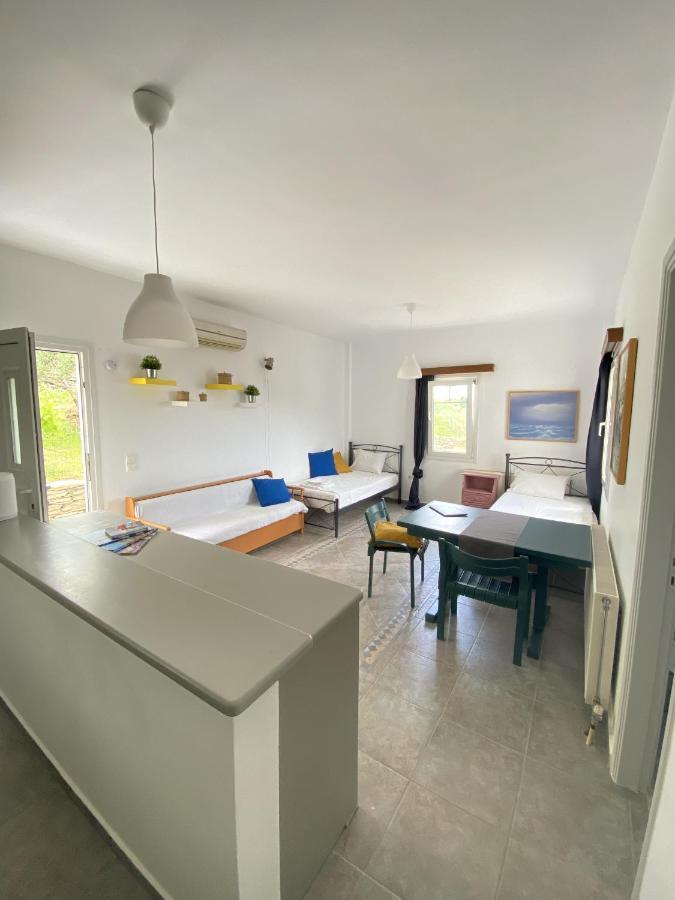 דירות Sineti Andros Vineyard House With Sea View מראה חיצוני תמונה