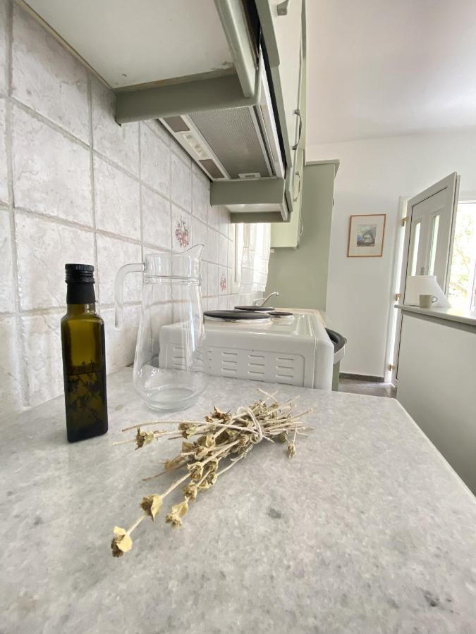 דירות Sineti Andros Vineyard House With Sea View מראה חיצוני תמונה