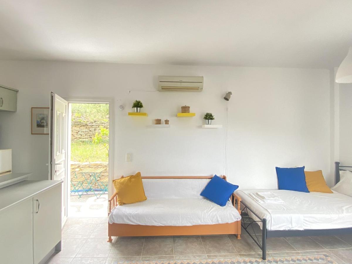 דירות Sineti Andros Vineyard House With Sea View מראה חיצוני תמונה