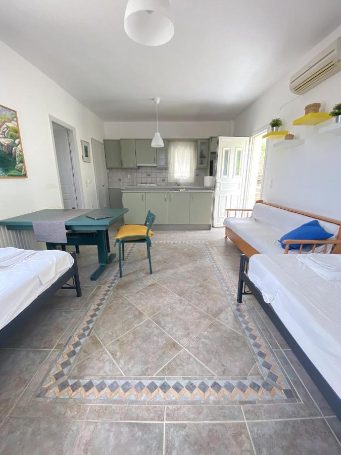 דירות Sineti Andros Vineyard House With Sea View מראה חיצוני תמונה