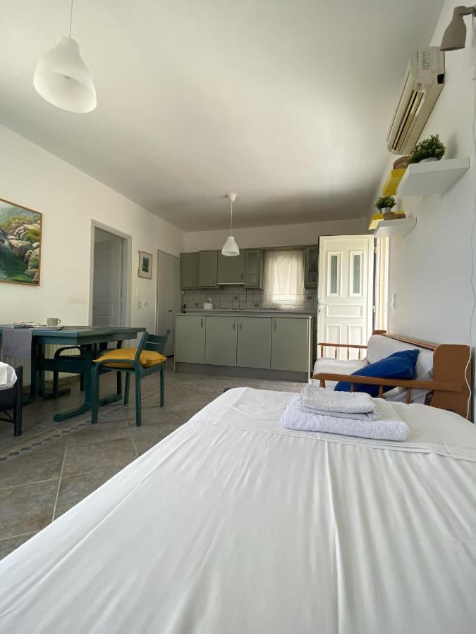 דירות Sineti Andros Vineyard House With Sea View מראה חיצוני תמונה