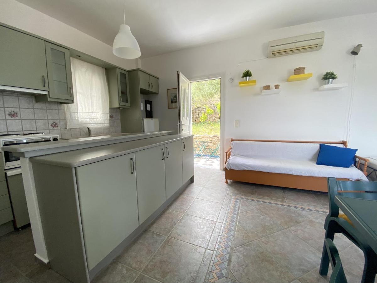 דירות Sineti Andros Vineyard House With Sea View מראה חיצוני תמונה